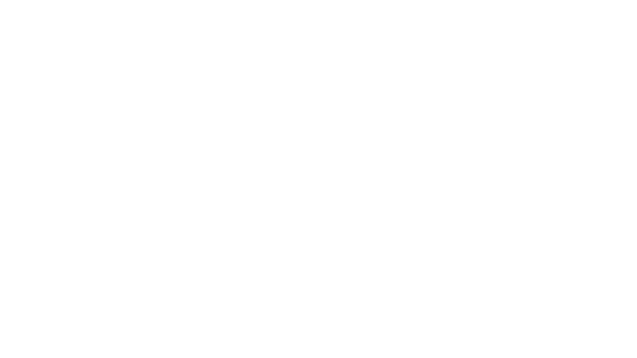 Essência e Identidade — Netonii